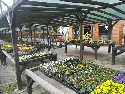 Ogrodnictwo i Kwiaciarnia Kosmala